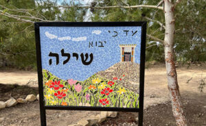 עד כי יבוא שילה